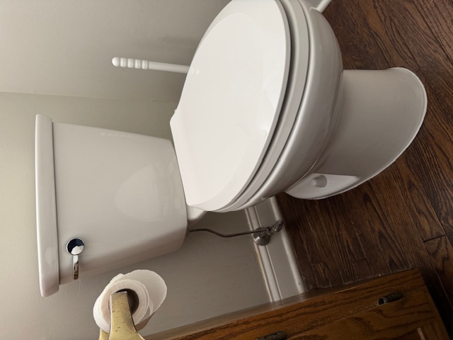 Toilet Installation in Naperville, IL